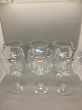 Ketel One Botanical Promotional Plastic Wine Glasses (Set of 6)